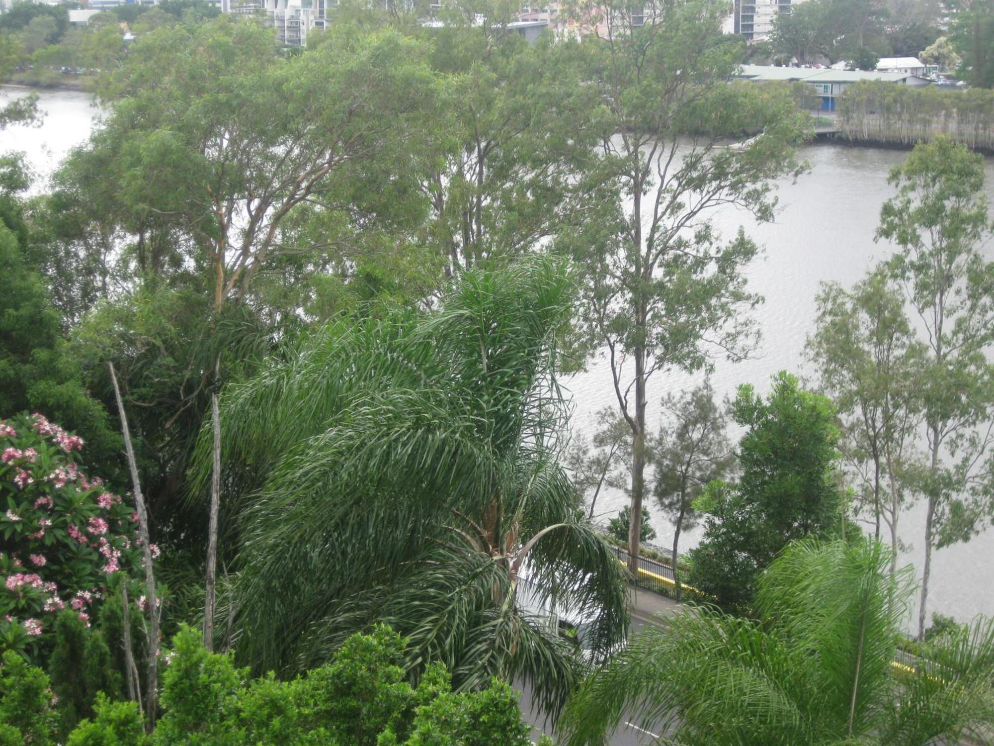 Fairthorpe Apartments Brisbane Exterior photo